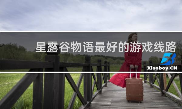 星露谷物语最好的游戏线路