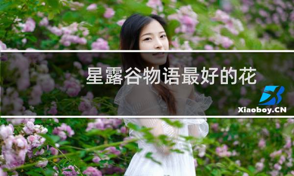 星露谷物语最好的花