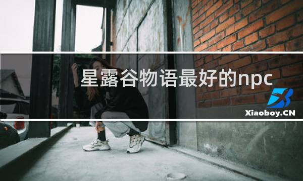 星露谷物语最好的npc
