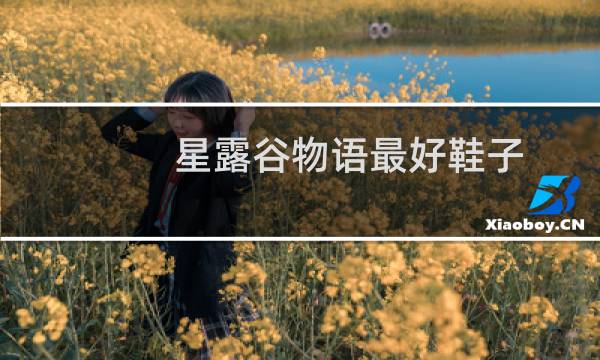 星露谷物语最好鞋子