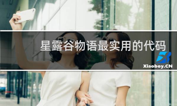 星露谷物语最实用的代码