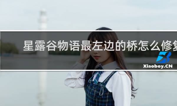星露谷物语最左边的桥怎么修复