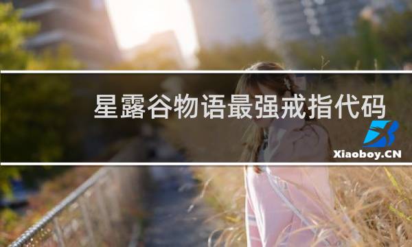 星露谷物语最强戒指代码