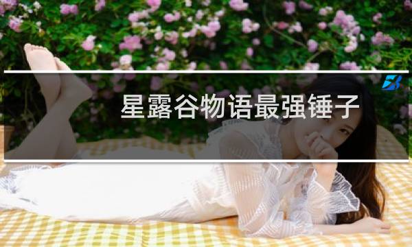 星露谷物语最强锤子