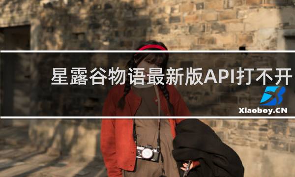 星露谷物语最新版API打不开