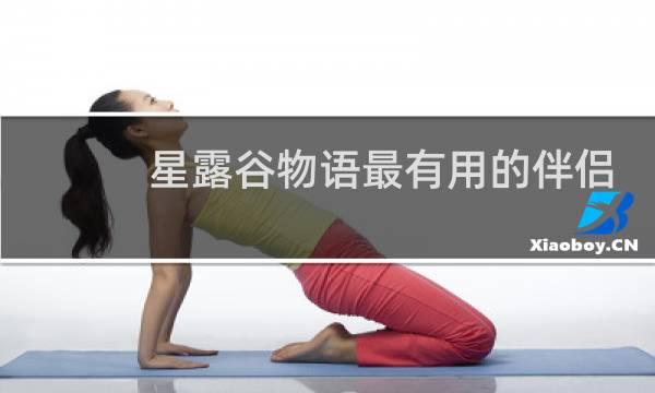 星露谷物语最有用的伴侣