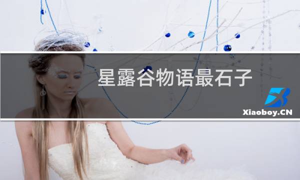 星露谷物语最石子
