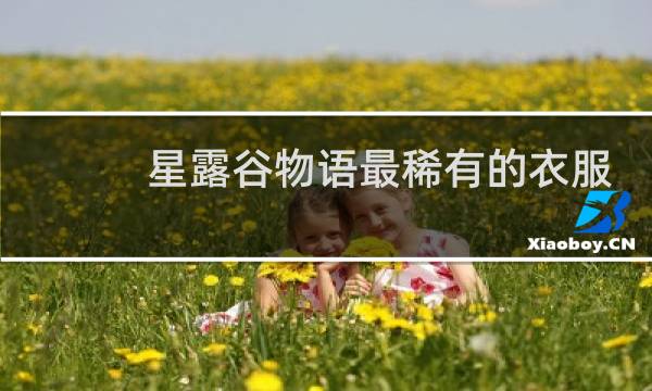 星露谷物语最稀有的衣服