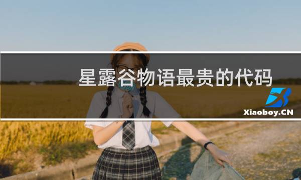 星露谷物语最贵的代码