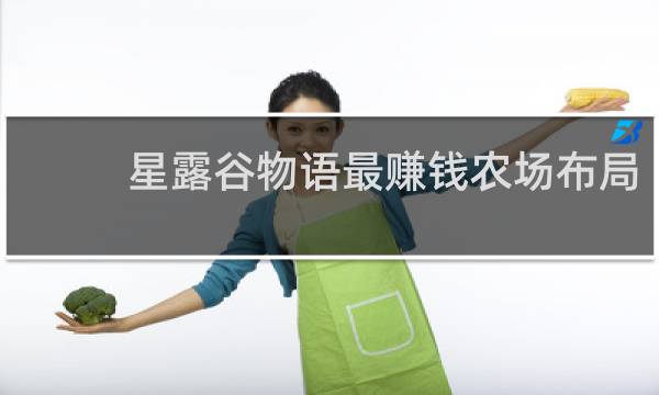 星露谷物语最赚钱农场布局