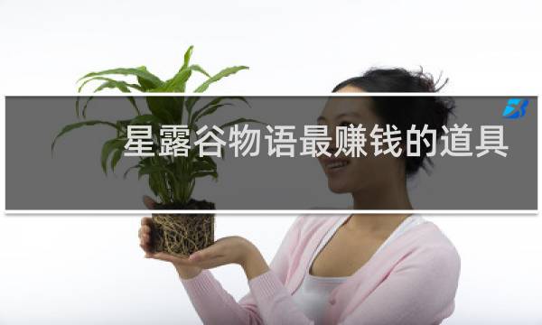 星露谷物语最赚钱的道具