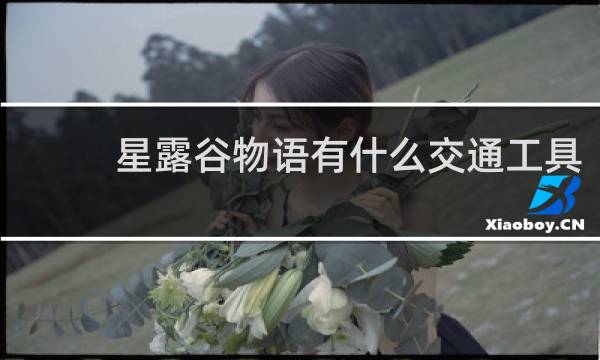 星露谷物语有什么交通工具