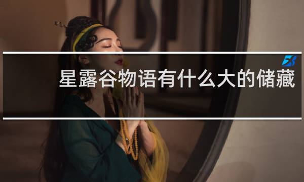 星露谷物语有什么大的储藏