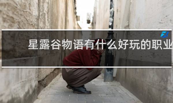 星露谷物语有什么好玩的职业