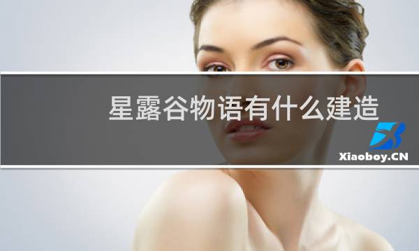 星露谷物语有什么建造