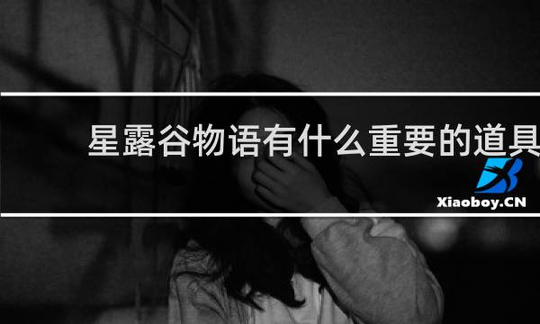 星露谷物语有什么重要的道具