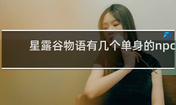 星露谷物语有几个单身的npc