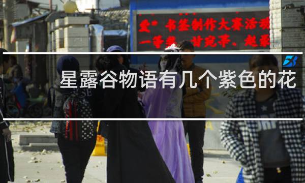 星露谷物语有几个紫色的花