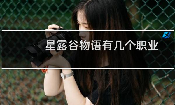 星露谷物语有几个职业