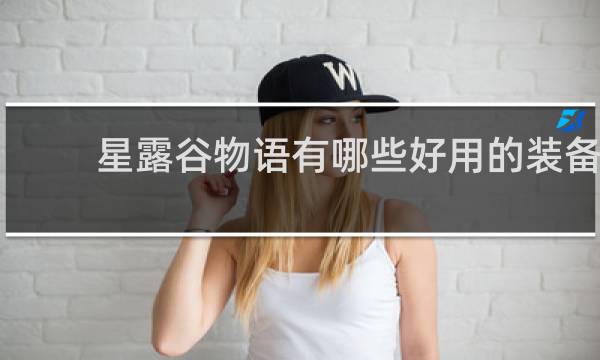 星露谷物语有哪些好用的装备