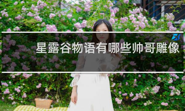 星露谷物语有哪些帅哥雕像