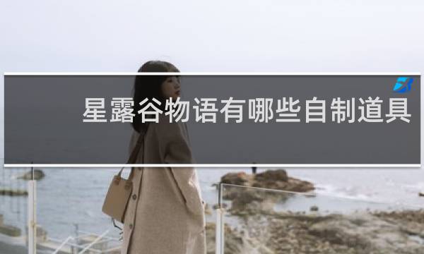 星露谷物语有哪些自制道具