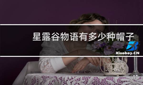 星露谷物语有多少种帽子