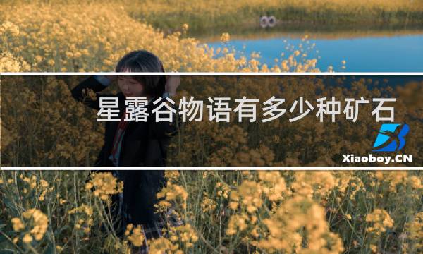 星露谷物语有多少种矿石