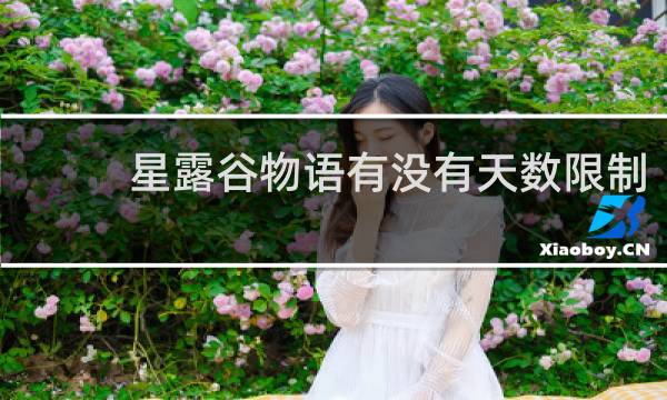 星露谷物语有没有天数限制