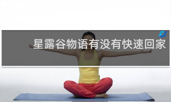 星露谷物语有没有快速回家
