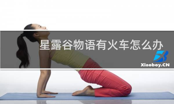 星露谷物语有火车怎么办