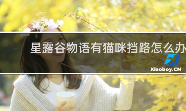 星露谷物语有猫咪挡路怎么办