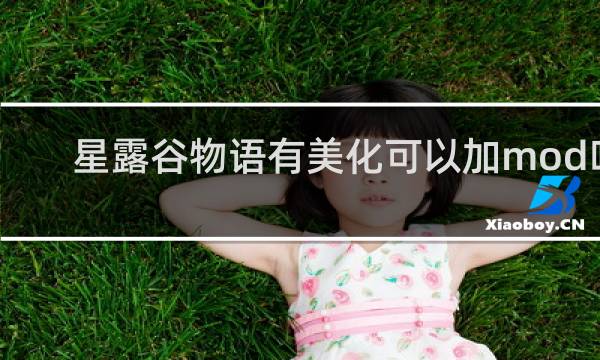 星露谷物语有美化可以加mod吗