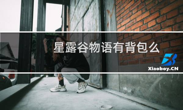 星露谷物语有背包么