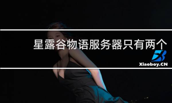 星露谷物语服务器只有两个