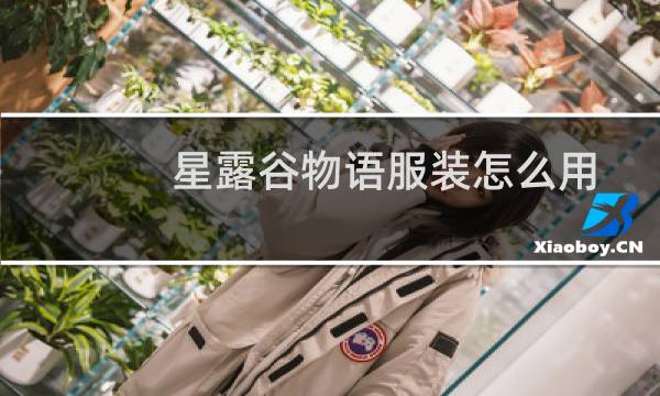 星露谷物语服装怎么用