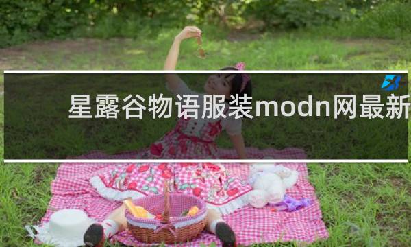 星露谷物语服装modn网最新