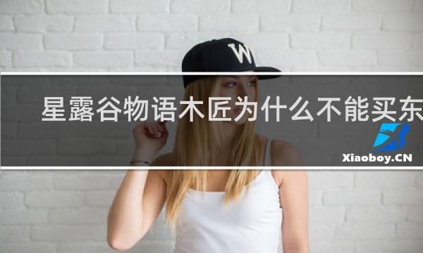 星露谷物语木匠为什么不能买东西