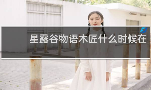 星露谷物语木匠什么时候在