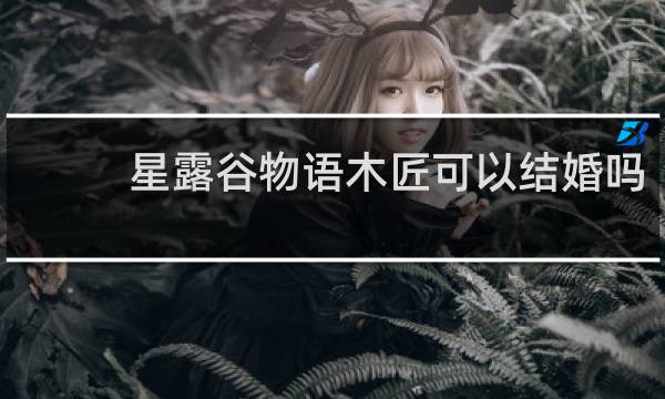 星露谷物语木匠可以结婚吗