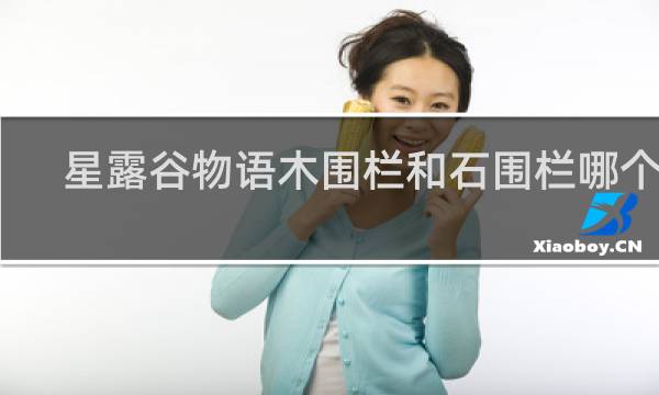 星露谷物语木围栏和石围栏哪个好