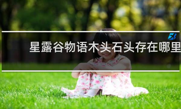 星露谷物语木头石头存在哪里