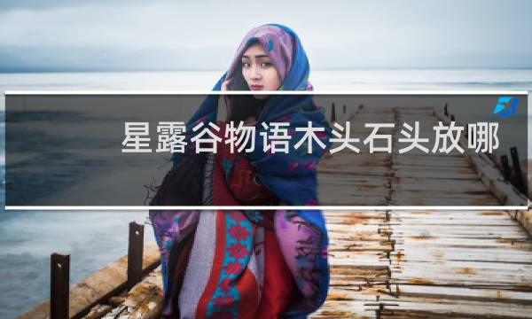 星露谷物语木头石头放哪