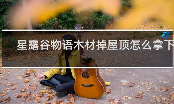 星露谷物语木材掉屋顶怎么拿下来