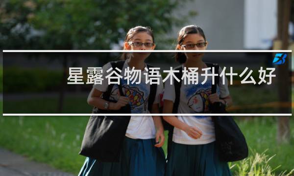 星露谷物语木桶升什么好