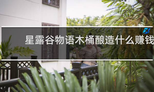 星露谷物语木桶酿造什么赚钱
