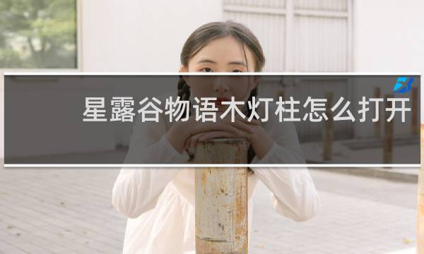 星露谷物语木灯柱怎么打开