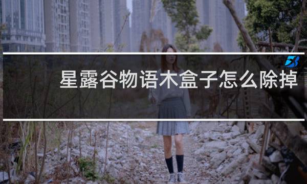 星露谷物语木盒子怎么除掉