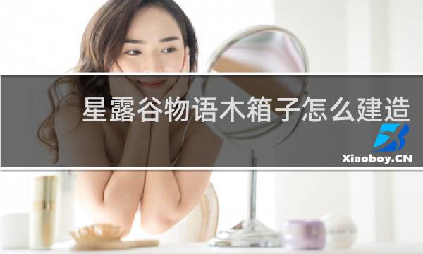 星露谷物语木箱子怎么建造