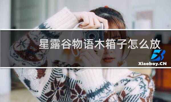 星露谷物语木箱子怎么放